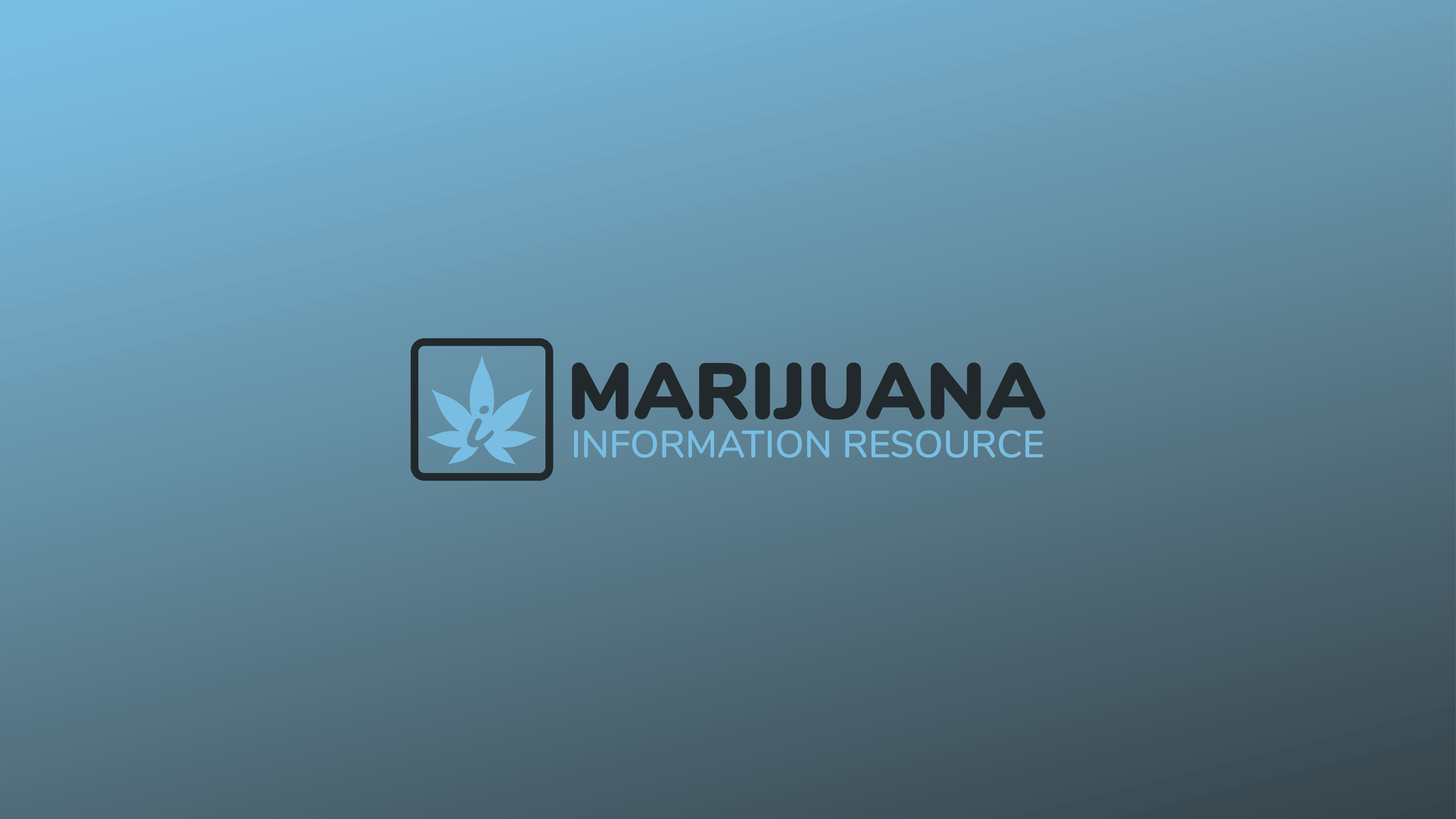 Inside the Dispensary: The Most Popular Cannabis Products Right Now