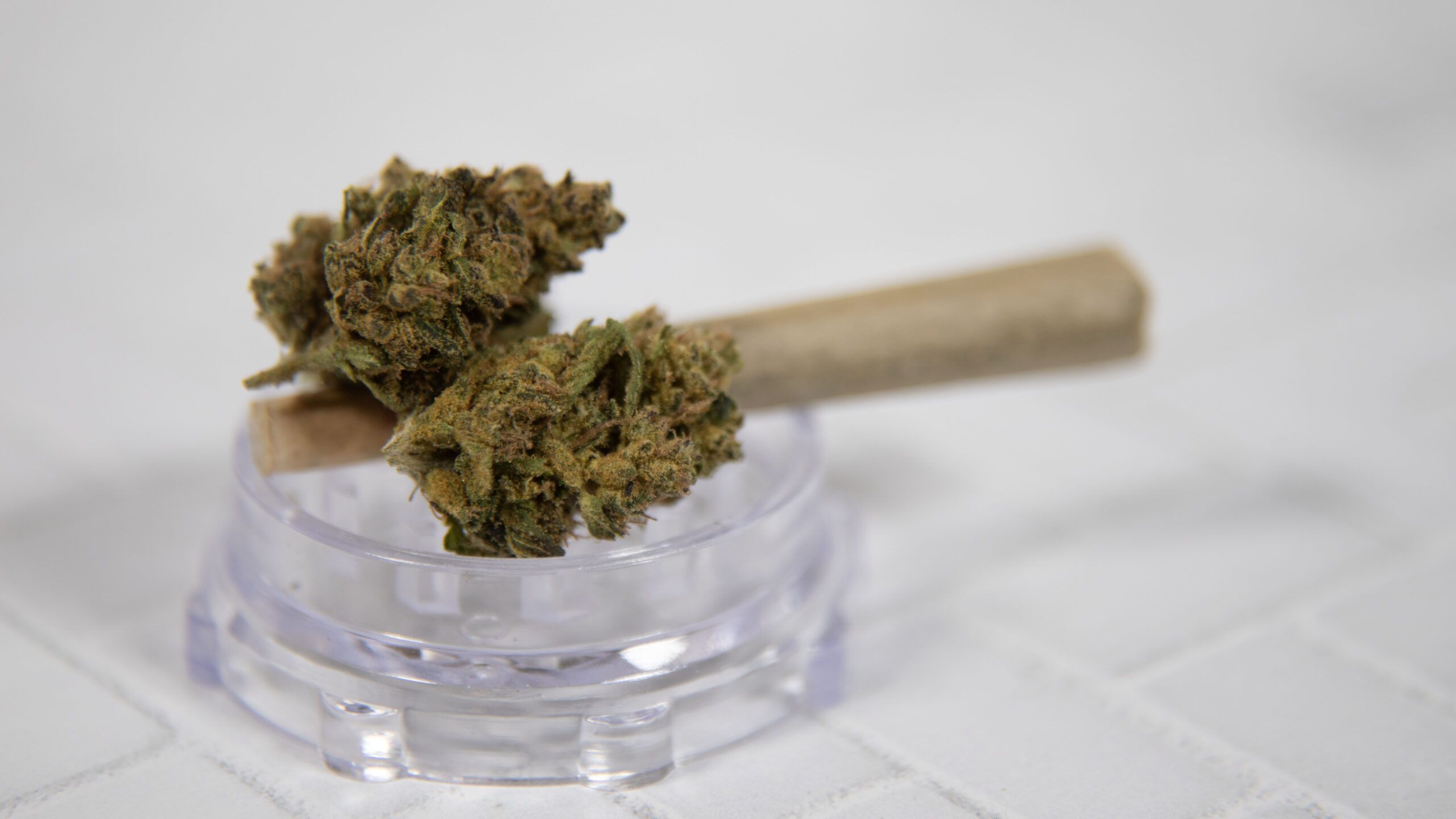 Vape or Burn? Why More Cannabis Users Are Turning to Vape Pens